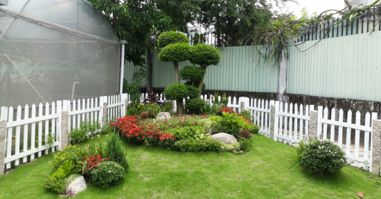 Phong thủy kiến tạo cảnh quan sân vườn